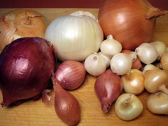 Different type of onions